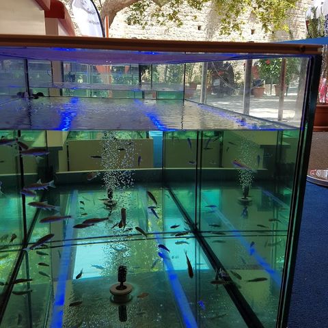 Magia Fish Spa, spa in Rodos, Greece